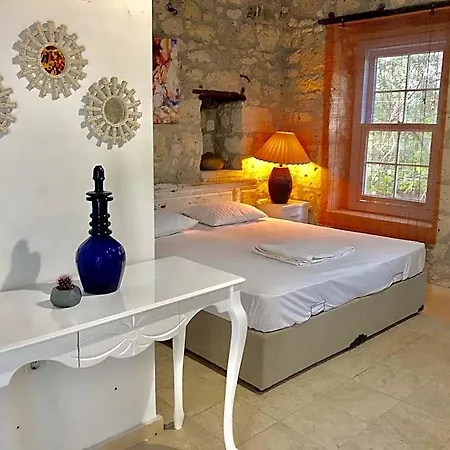Tashmahal Butik Hotel 3*